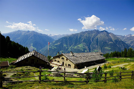 Alpine Hike  - Monte Tramontana Naturns/Naturno 1 suedtirol.info