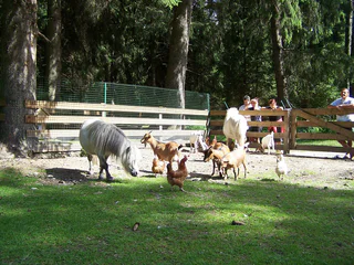 Niederdorf - Minizoo Camping Olympia - Bad Maistatt - Niederdorf - - #1 - suedtirol.info