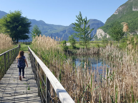 Sentiero No. 15: Cortaccia-Magrè-Cortina Magrè sulla Strada del Vino 5 suedtirol.info