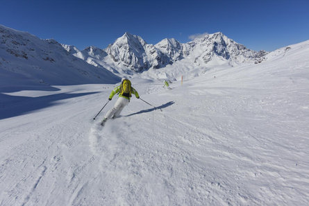 7 Gran Zebru 1 Stelvio 1 suedtirol.info