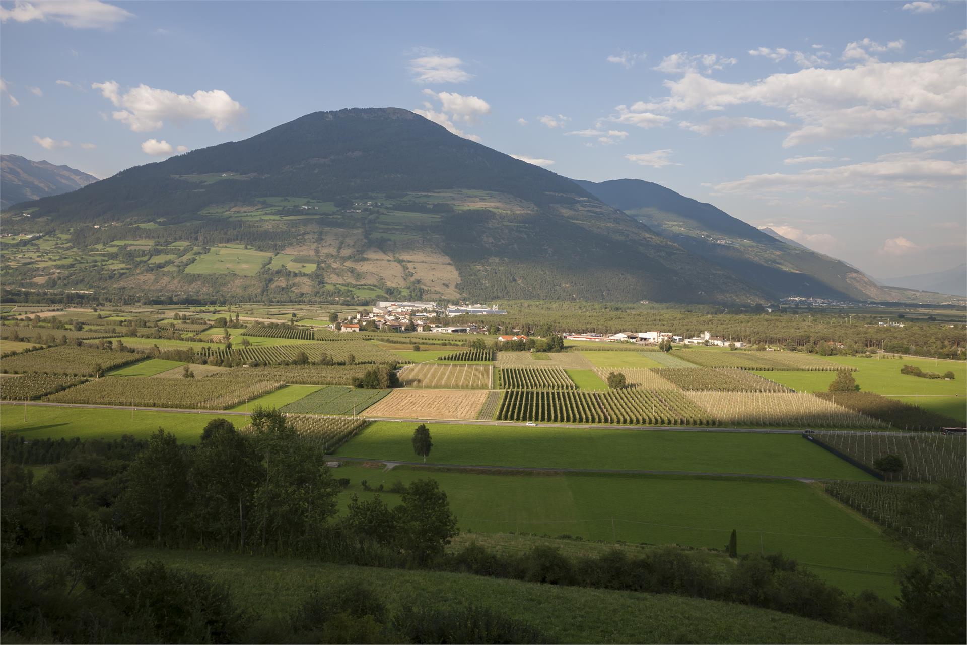 10K Run Prad am Stilfser Joch 1 suedtirol.info