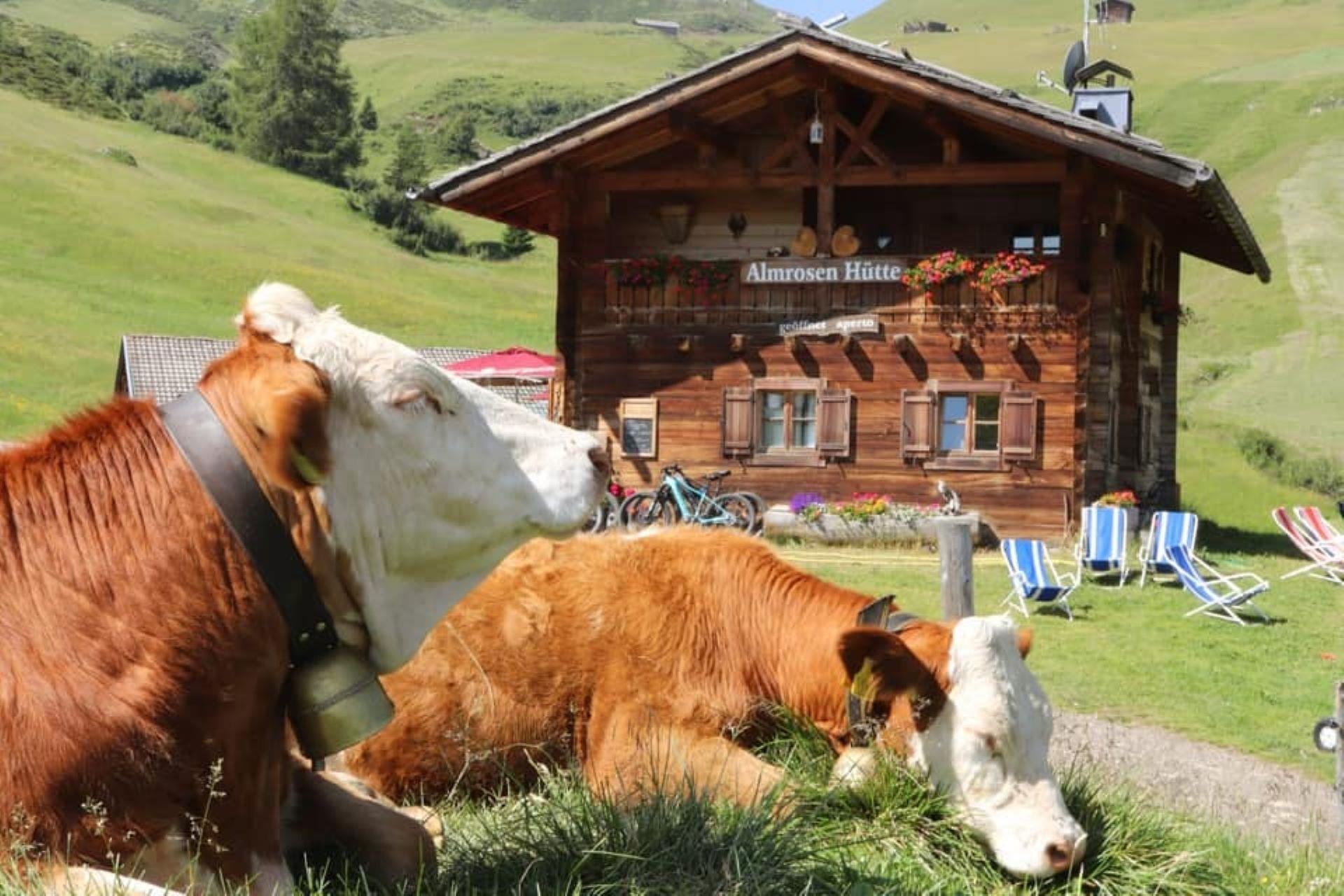 253 Seiser Alm Hut Tour Kastelruth/Castelrotto 3 suedtirol.info