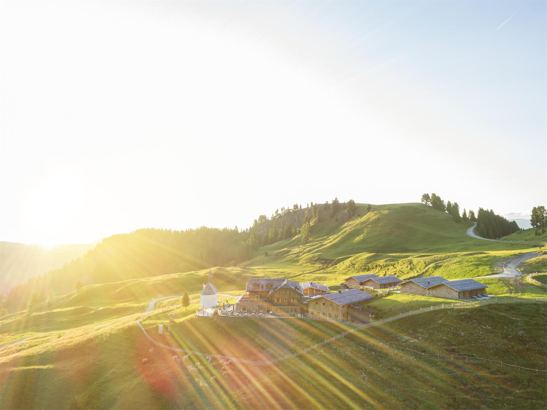 253 Seiser Alm Hut Tour Kastelruth/Castelrotto 5 suedtirol.info