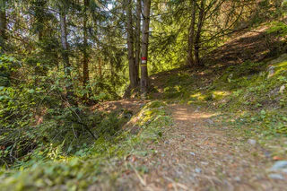 360° Obervinschgau: St. Valentin auf der Haide - Planeil - Graun im Vinschgau - #1 - suedtirol.info