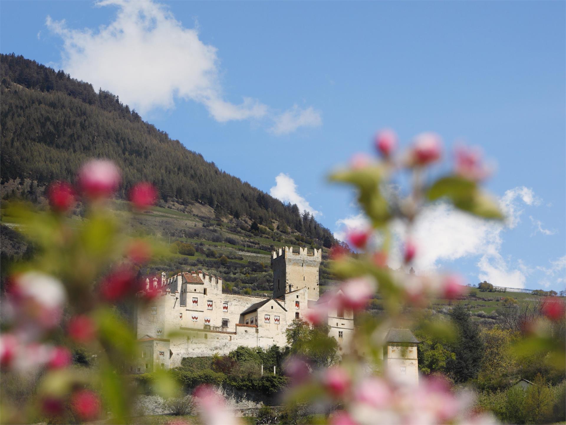 360° Alta Val Venosta: Mazia/Matsch - Sluderno/Schluderns Mals/Malles 5 suedtirol.info