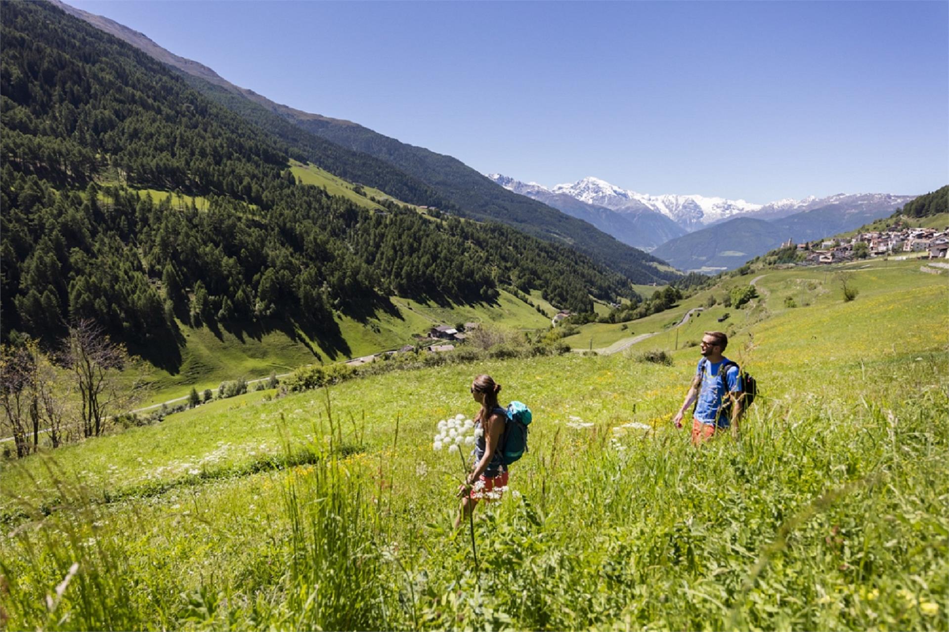 360° Alta Val Venosta: Mazia/Matsch - Sluderno/Schluderns Mals/Malles 2 suedtirol.info