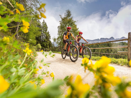 358 Giro dei masi Nova Levante 2 suedtirol.info