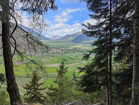 360° Alta Venosta: Glorenza - Tubre in Val Monastero Glorenza 5 suedtirol.info