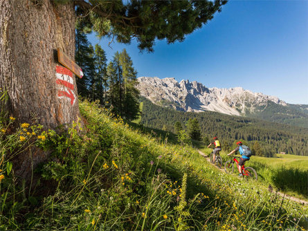 423 Schlern-Rosengarten Ronda im Uhrzeigersinn Kastelruth 5 suedtirol.info