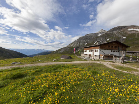 360° Alta Val Venosta: Slingia/Schlinig - Prämajur (Valley station Watles) Mals/Malles 5 suedtirol.info