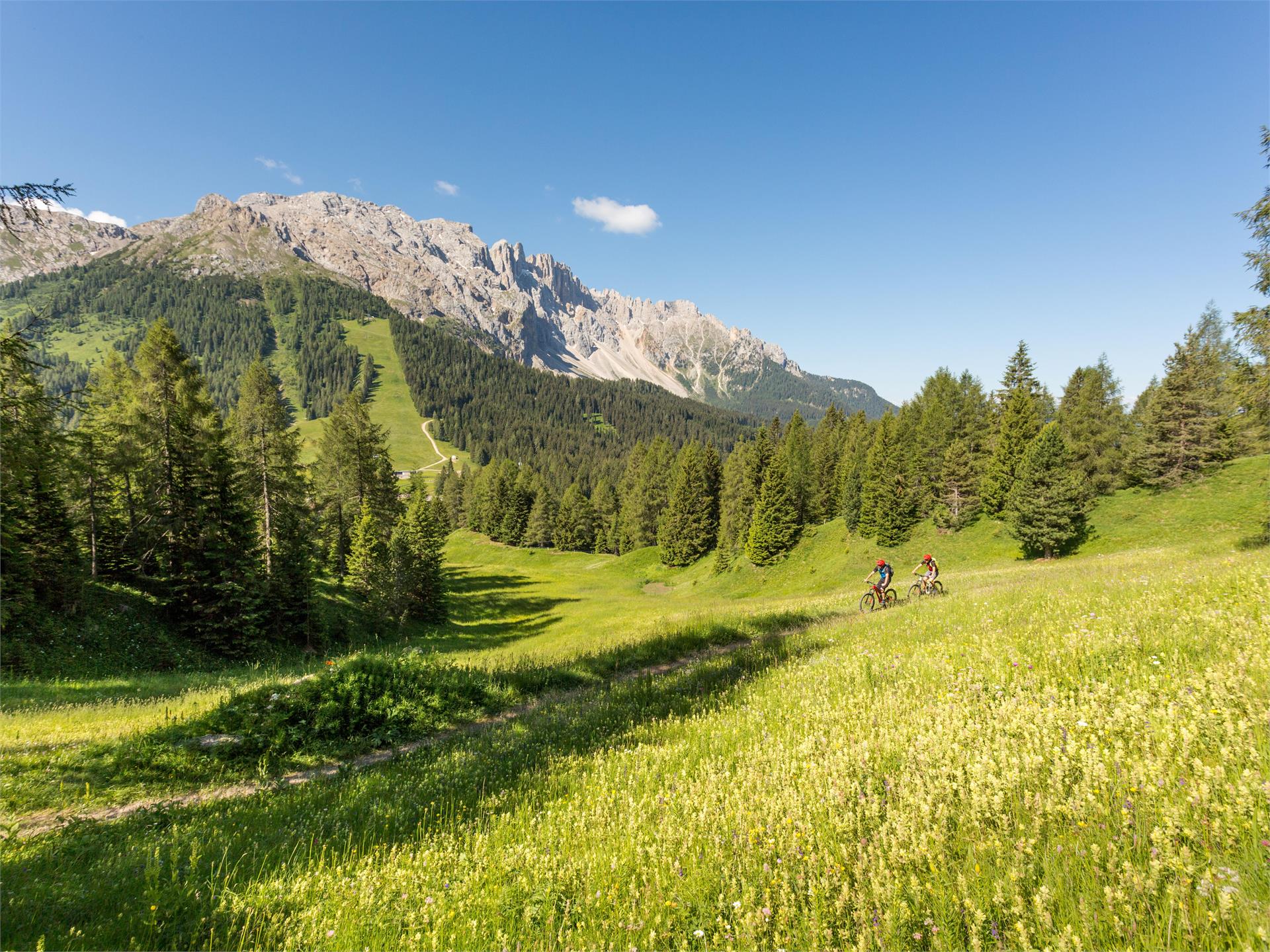 354 Latemar Ronda Welschnofen/Nova Levante 2 suedtirol.info