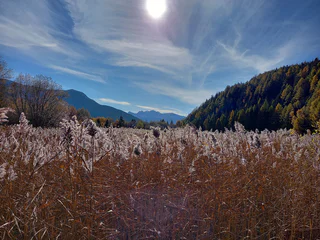360° Obervinschgau: Prämajur - St. Valentin auf der Haide - Graun im Vinschgau - #3 - suedtirol.info