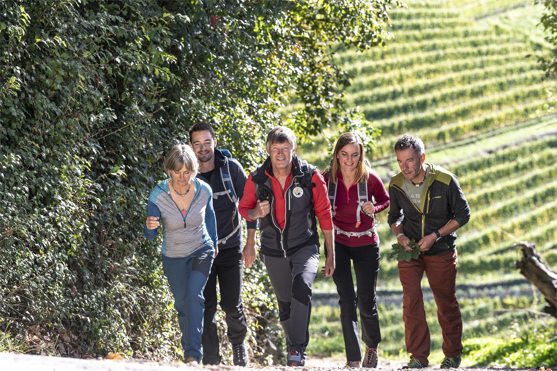 Oachner Höfeweg Völs am Schlern 5 suedtirol.info