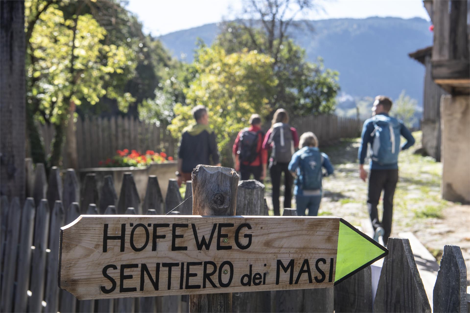 Oachner Höfeweg Völs am Schlern 4 suedtirol.info