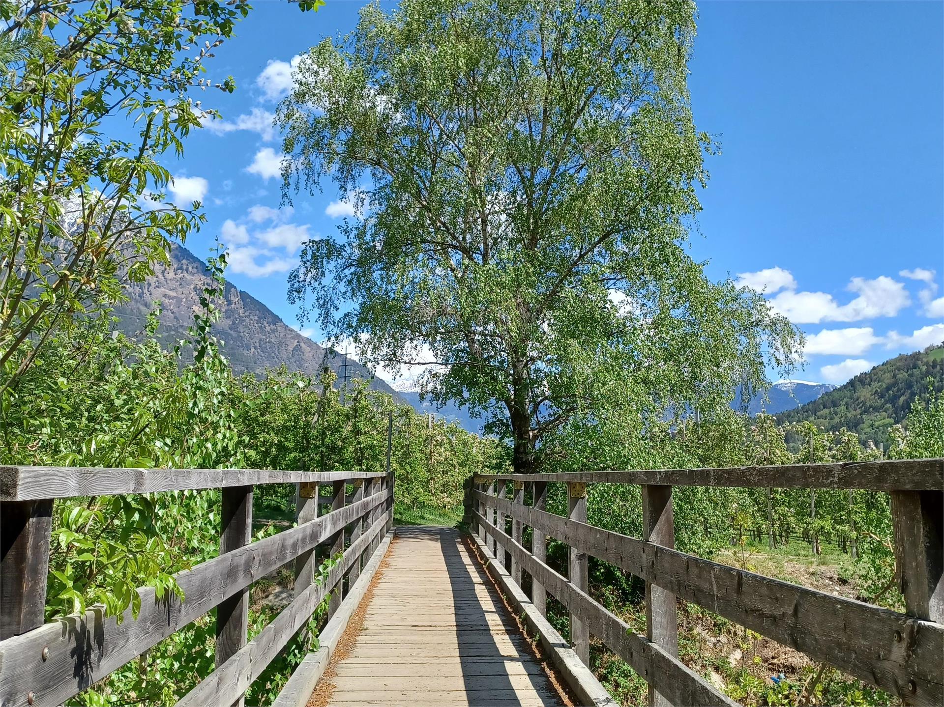 Escursione culturale per tutta la famiglia Parcines 4 suedtirol.info