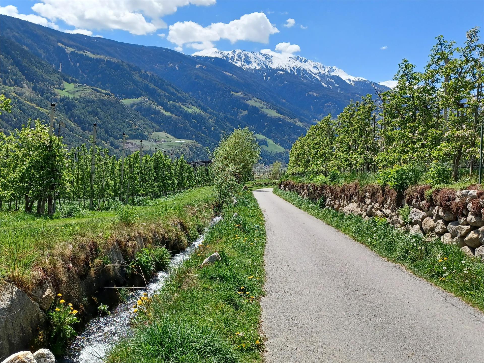 Escursione culturale per tutta la famiglia Parcines 5 suedtirol.info