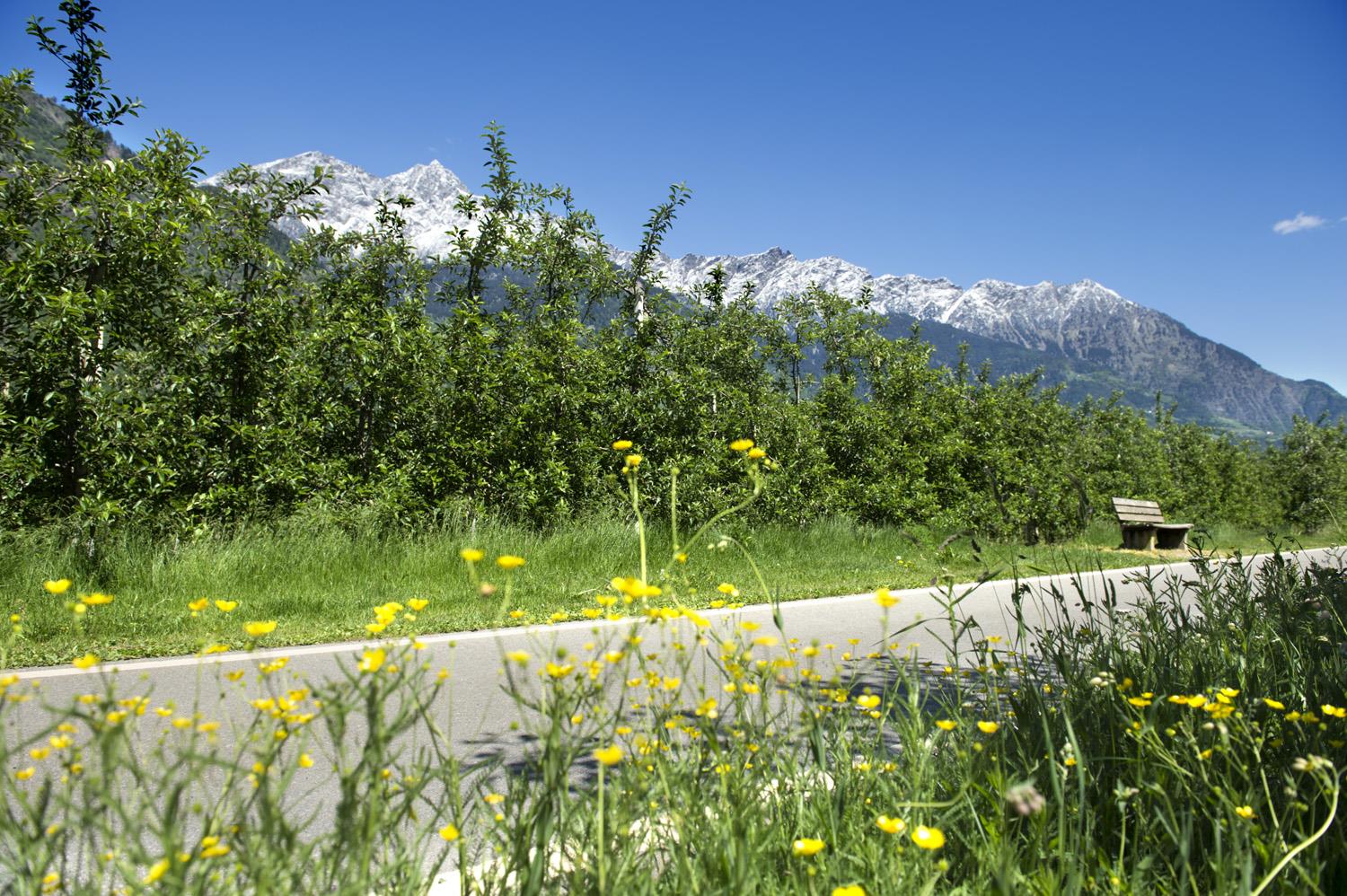 Escursione culturale per tutta la famiglia Parcines 2 suedtirol.info