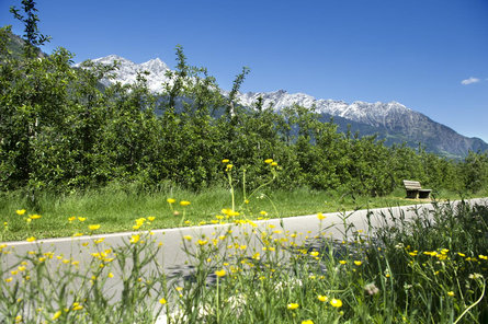 Family "Kul-Tour" - round trip Partschins/Parcines 2 suedtirol.info