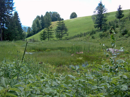 Sentiero circolare panoramico a Terento Terento 2 suedtirol.info