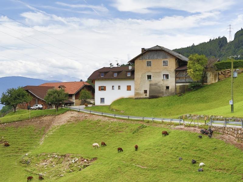 Predonico & Gaido Appiano sulla Strada del Vino 2 suedtirol.info