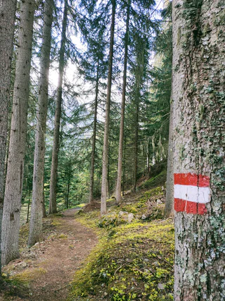 Parcours in Trafoi - Stilfs - #1 - suedtirol.info