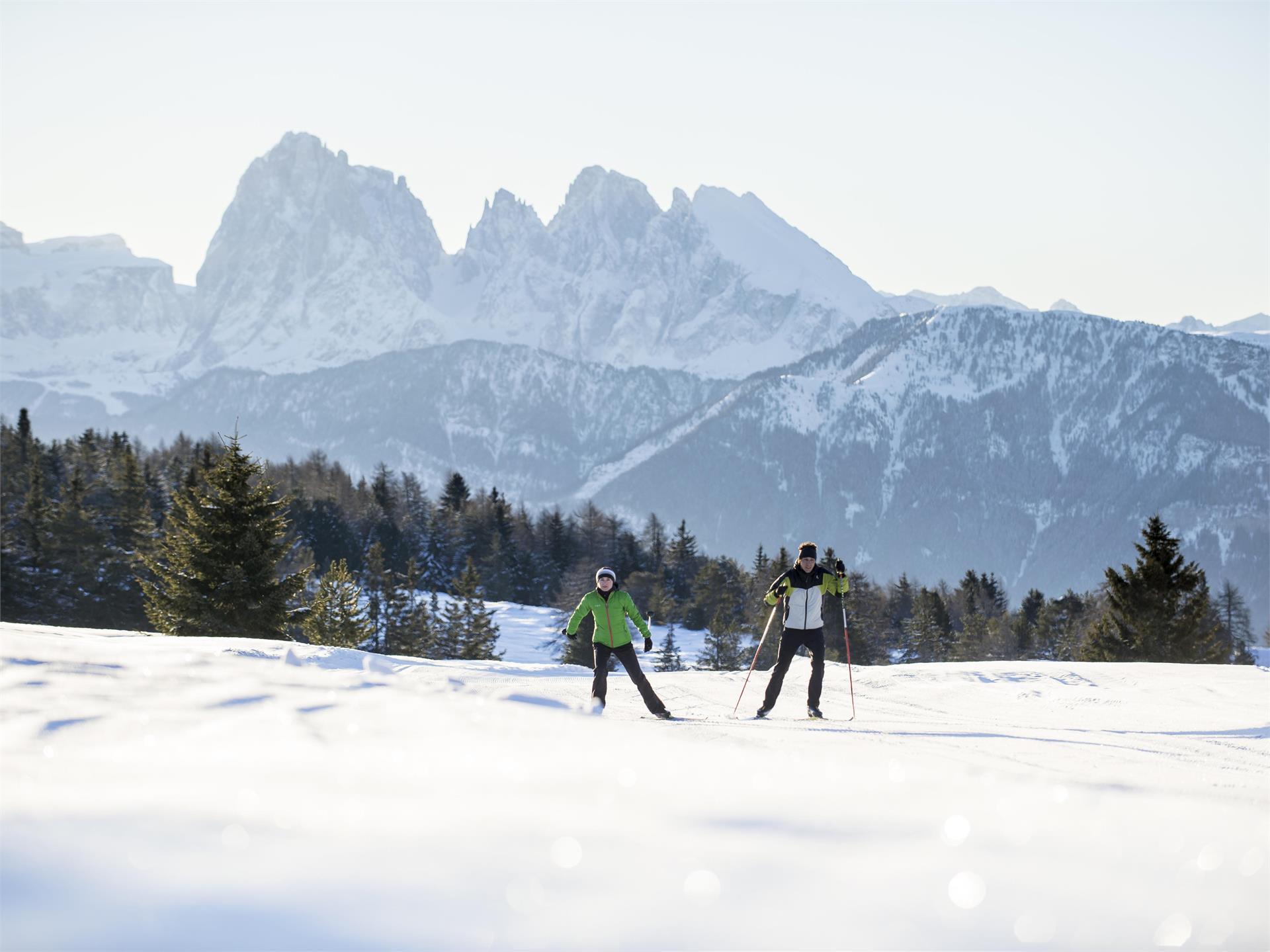 Cross country ski trail - Alp of Villandro Barbian/Barbiano 1 suedtirol.info