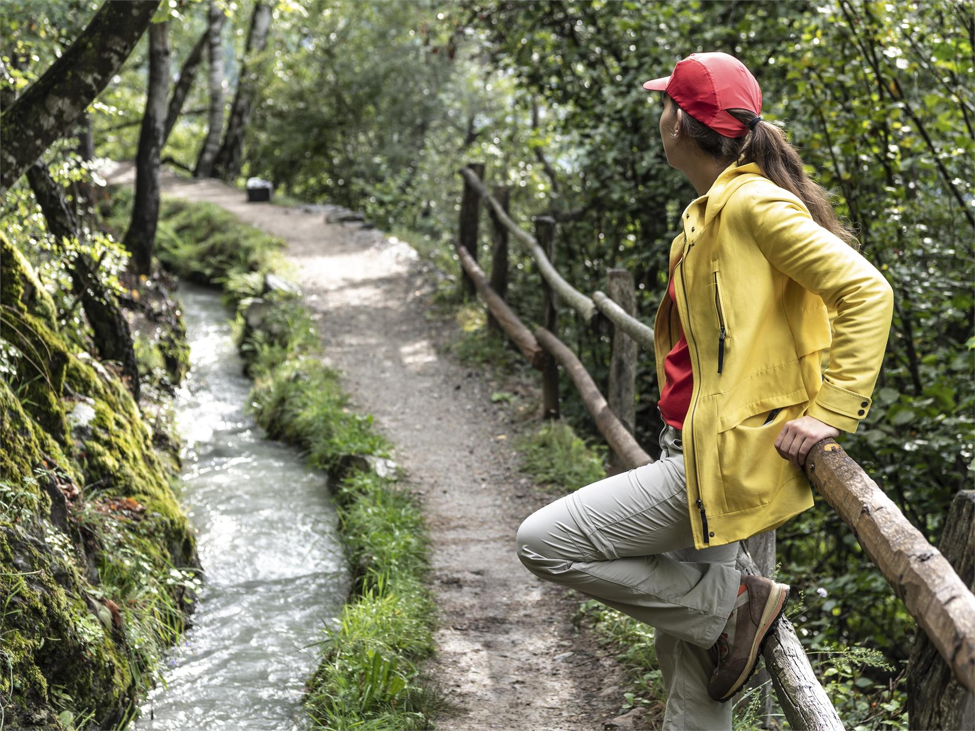 Percorso Circolare - "Waalweg" di Parcines (sentiero della roggia) Parcines 4 suedtirol.info