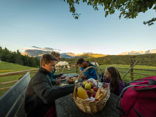 Planetenweg in Gummer - Karneid - #4 - suedtirol.info