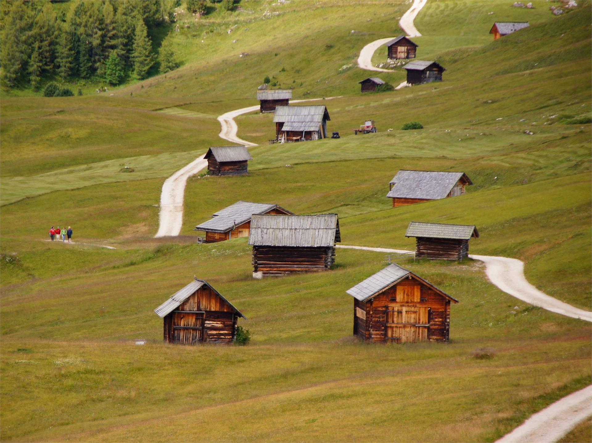 Round of Pütia San Martin /San Martino 2 suedtirol.info