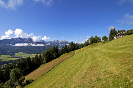 Panoramic walking tour: Niederrasen - Redensberg - Raut Rasen-Antholz/Rasun Anterselva 1 suedtirol.info