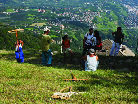 Partschins Waterfall from the Texelbahn Cableway Mountain Station - farm trail Partschins/Parcines 5 suedtirol.info