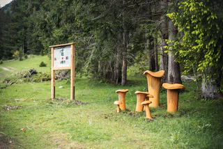 Pilzeweg Pfitsch