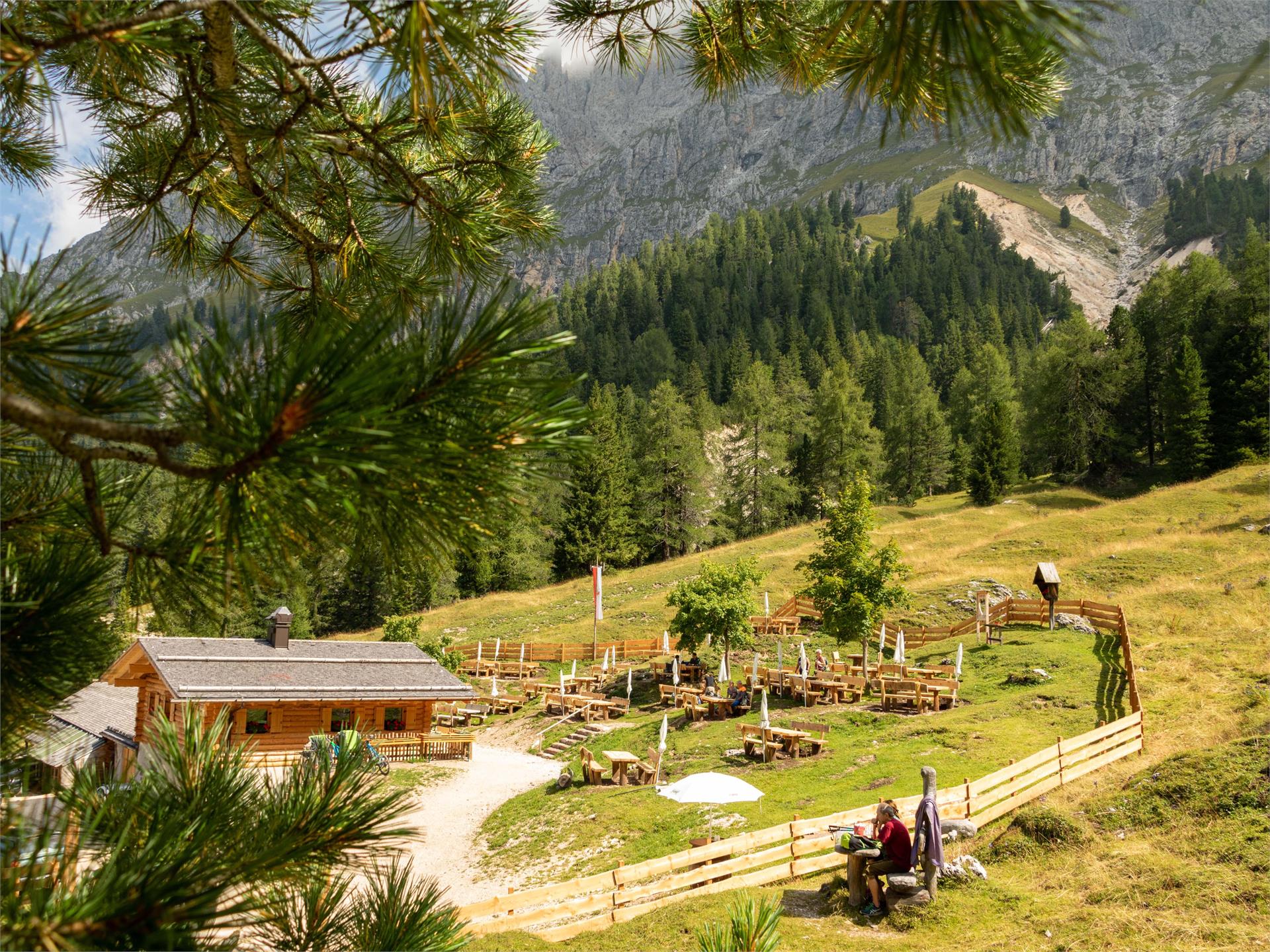 Panoramic tour to Haniger Schwaige mountain hut Welschnofen/Nova Levante 1 suedtirol.info