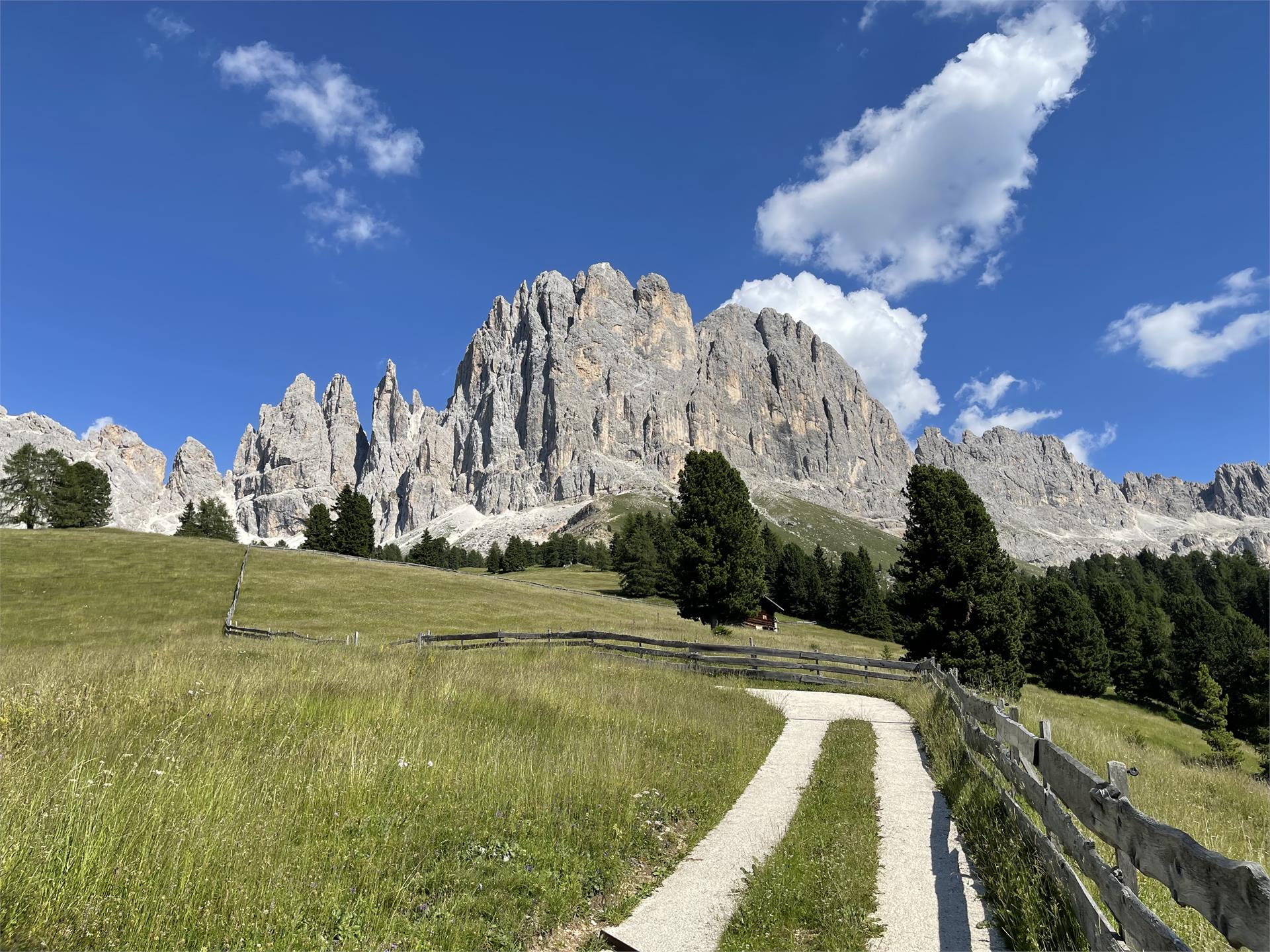 Panoramic tour to Haniger Schwaige mountain hut Welschnofen/Nova Levante 3 suedtirol.info