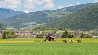 Panoramaweg - Olang - #1 - suedtirol.info