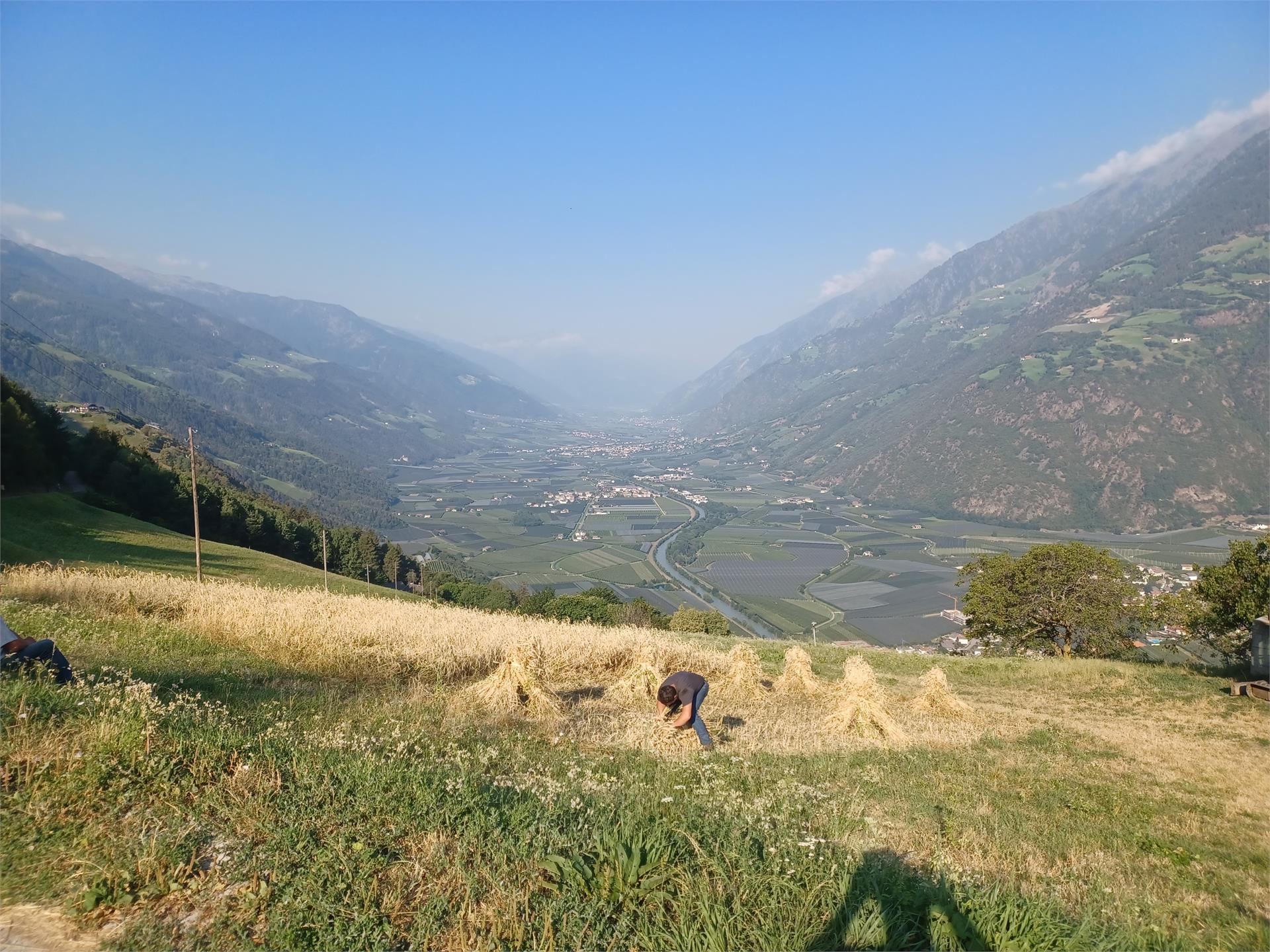 Quadrater Höfe-Weg Partschins 9 suedtirol.info