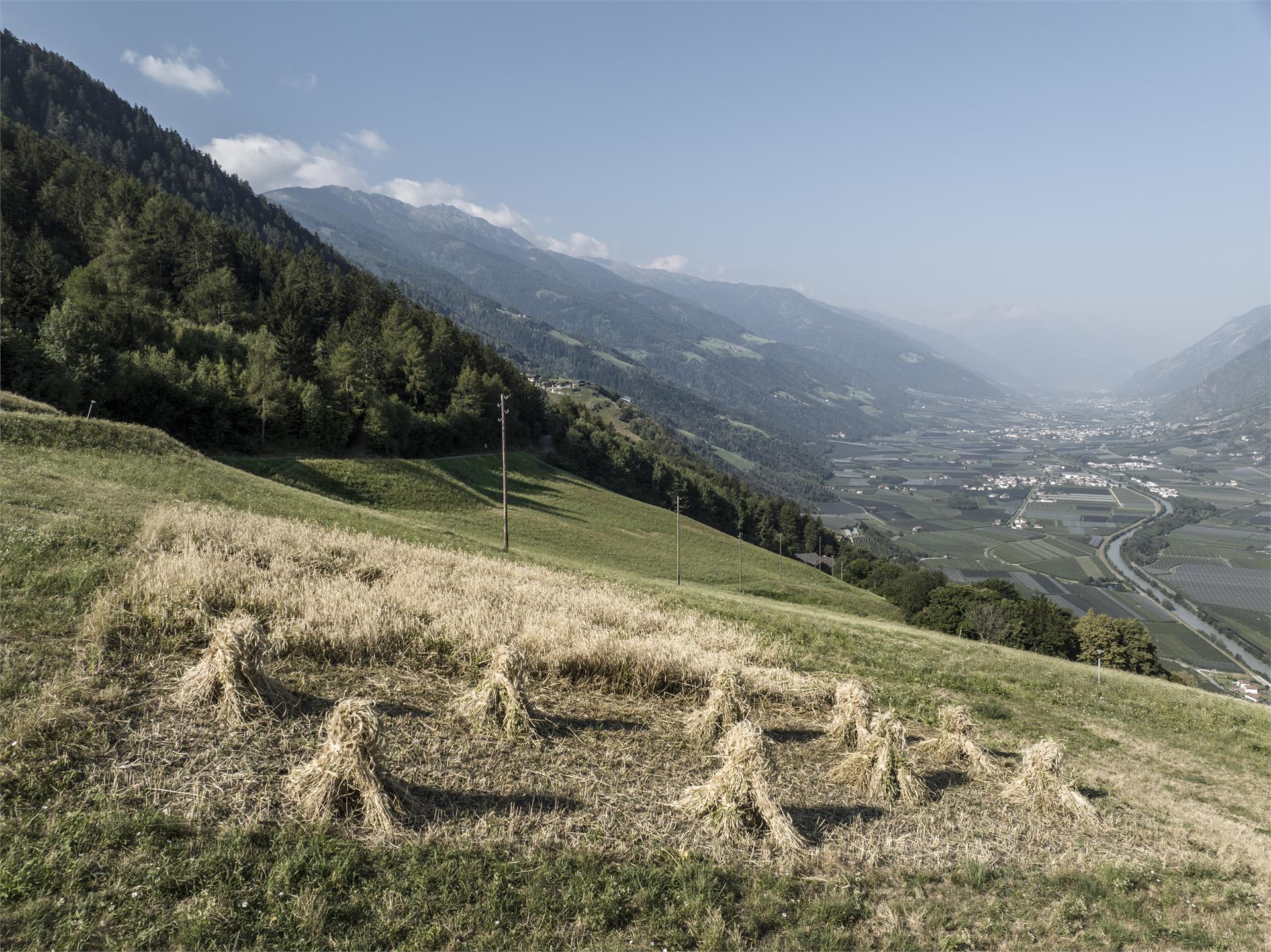 Quadrater Höfe-Weg Partschins 2 suedtirol.info