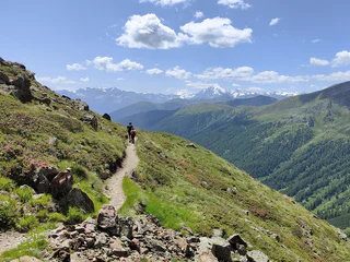 Rundwanderung Almen Panorama Tour - Mals - #3 - suedtirol.info