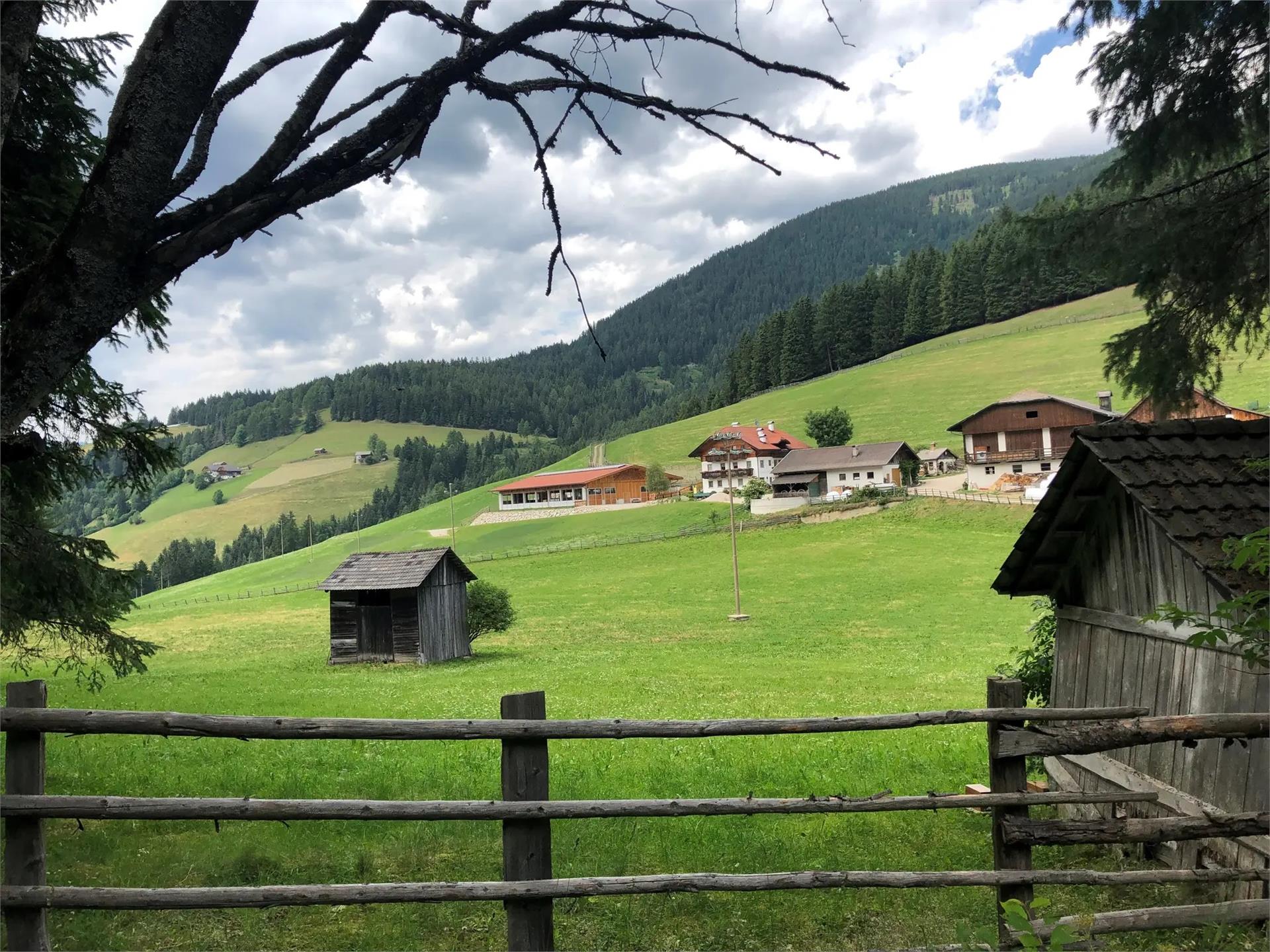 Redensberg - Aschbach - Nessano Rasun Anterselva 1 suedtirol.info