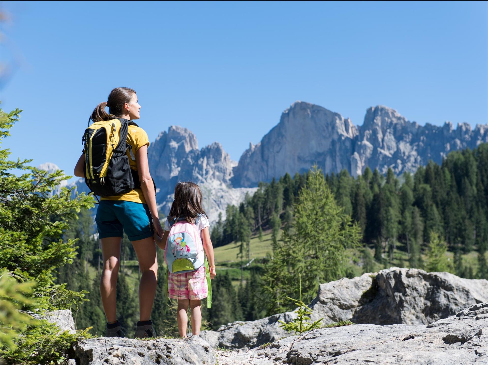 Rundwanderung vom Grand Hotel Carezza ins Felslabyrinth des Latemar Welschnofen 3 suedtirol.info