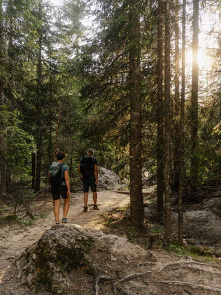 Rundwanderung vom Parkplatz Paolina ins Felslabyrinth des Latemar - Welschnofen - #5 - suedtirol.info