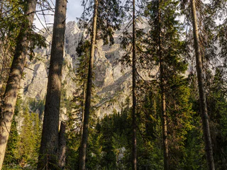 Rundwanderung vom Parkplatz Paolina ins Felslabyrinth des Latemar - Welschnofen - #4 - suedtirol.info