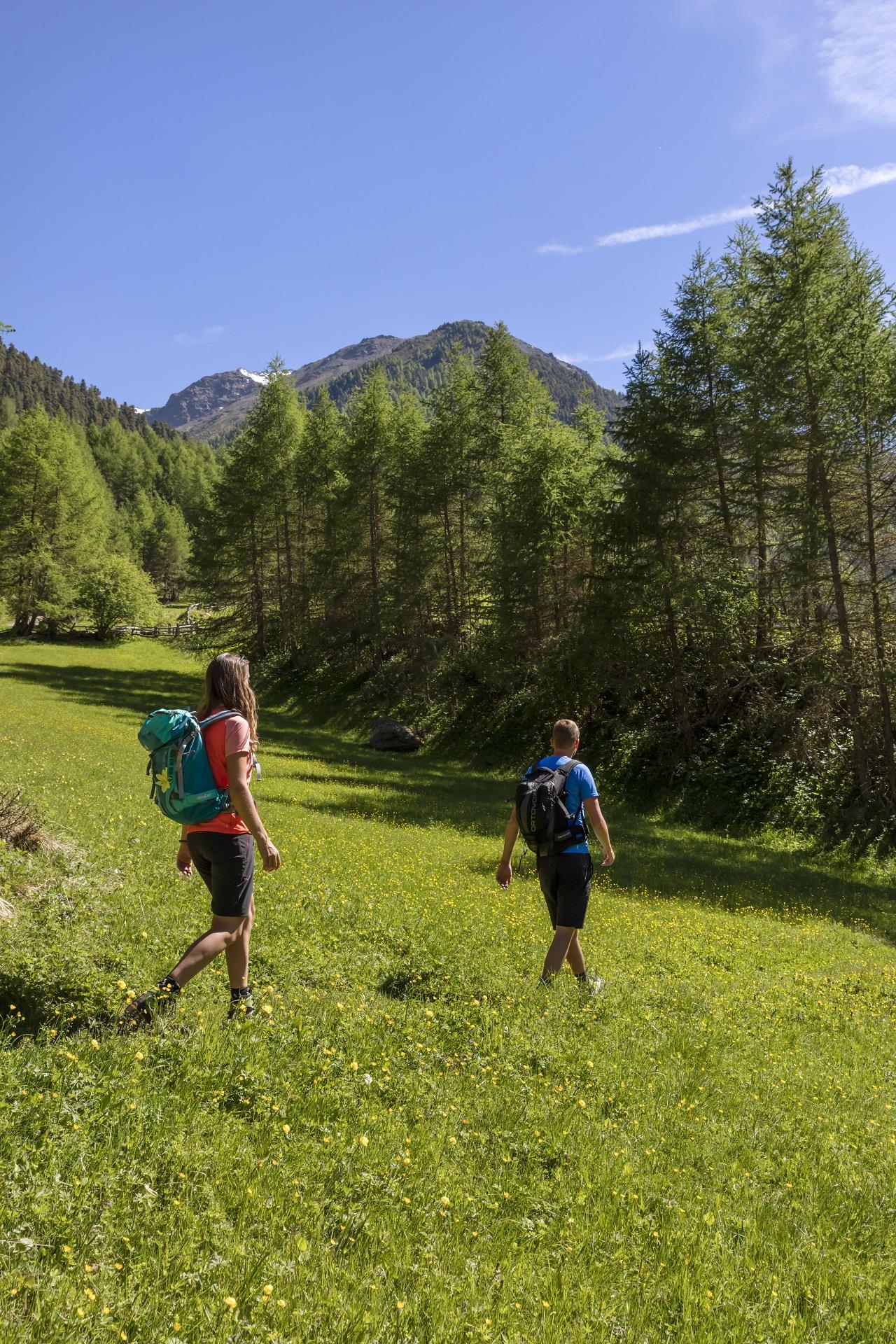 Circular hike in Val Mazia Mals/Malles 1 suedtirol.info