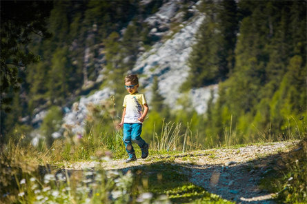 Percorso circolare Malga di Tarres-Variante B Laces 2 suedtirol.info