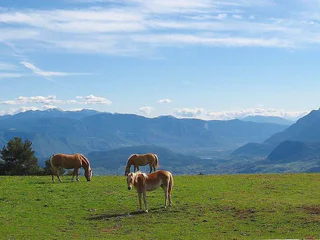 Aussicht Tschaufen