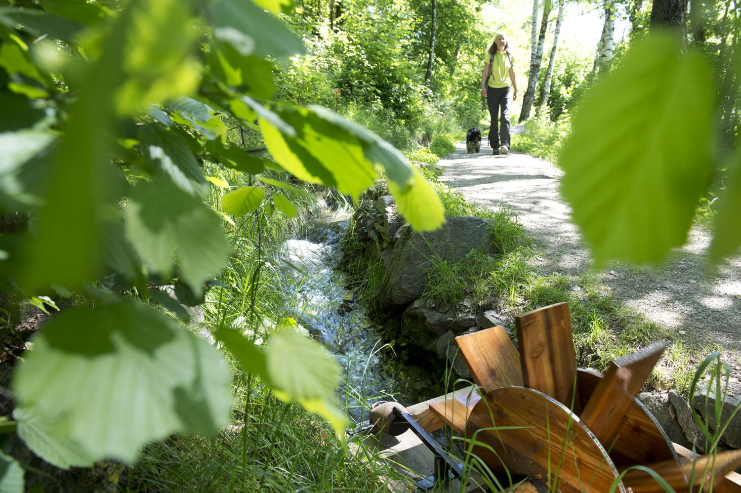 Percorso circolare - sentiero della roggia di Rablà Parcines 1 suedtirol.info