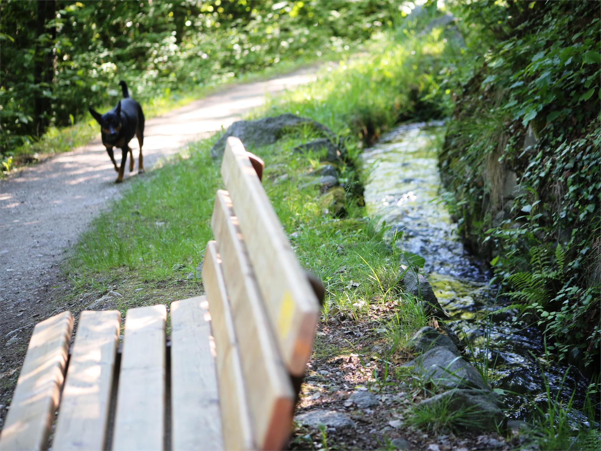 Percorso circolare - sentiero della roggia di Rablà Parcines 3 suedtirol.info