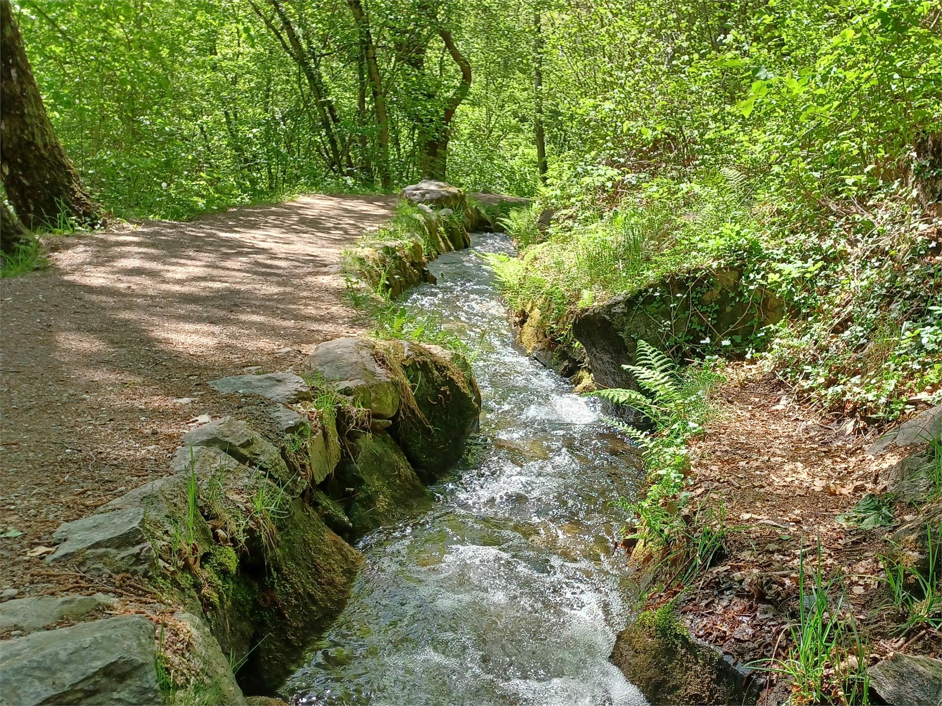 Percorso circolare - sentiero della roggia di Rablà Parcines 7 suedtirol.info