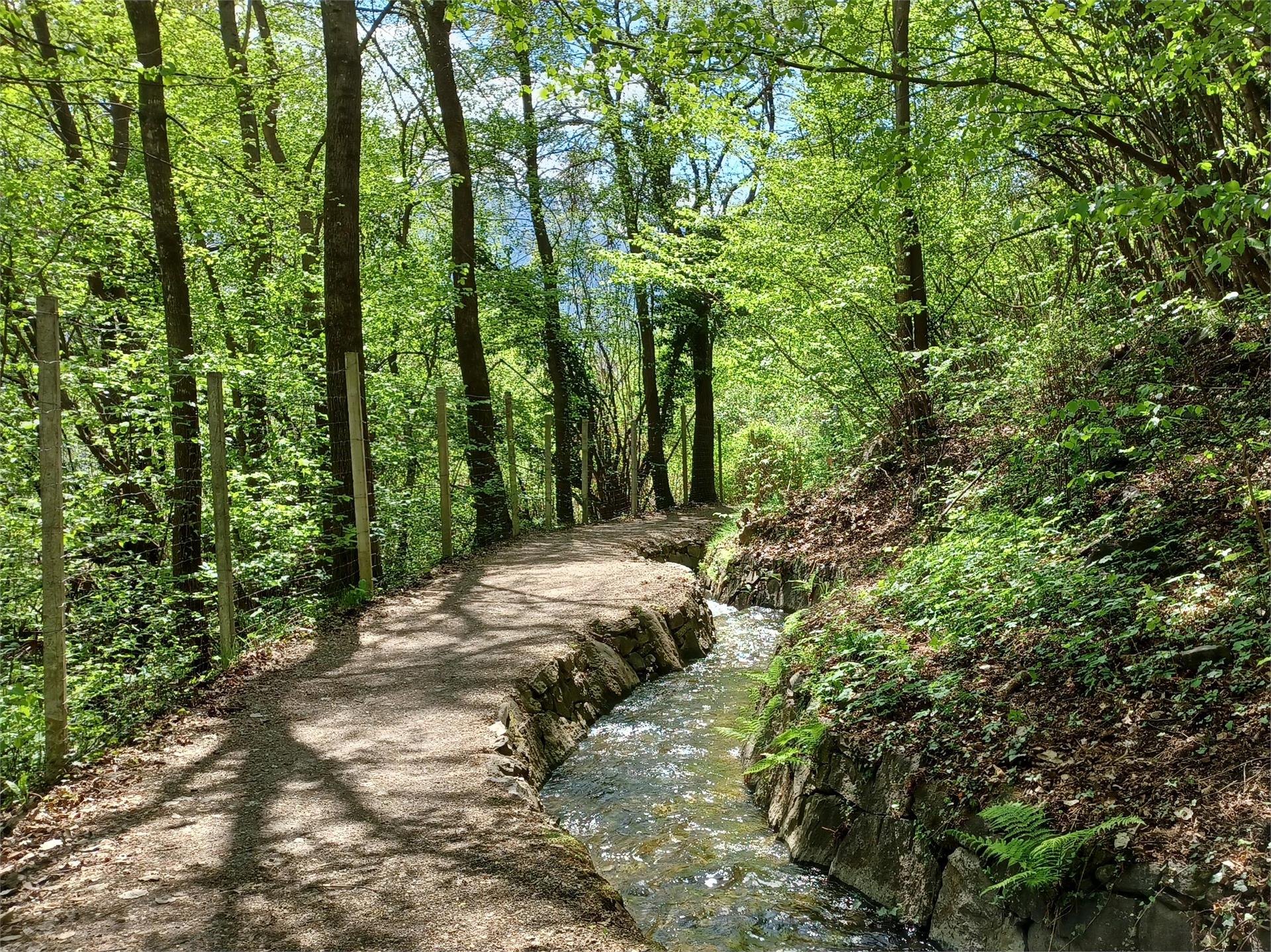 Percorso circolare - sentiero della roggia di Rablà Parcines 5 suedtirol.info