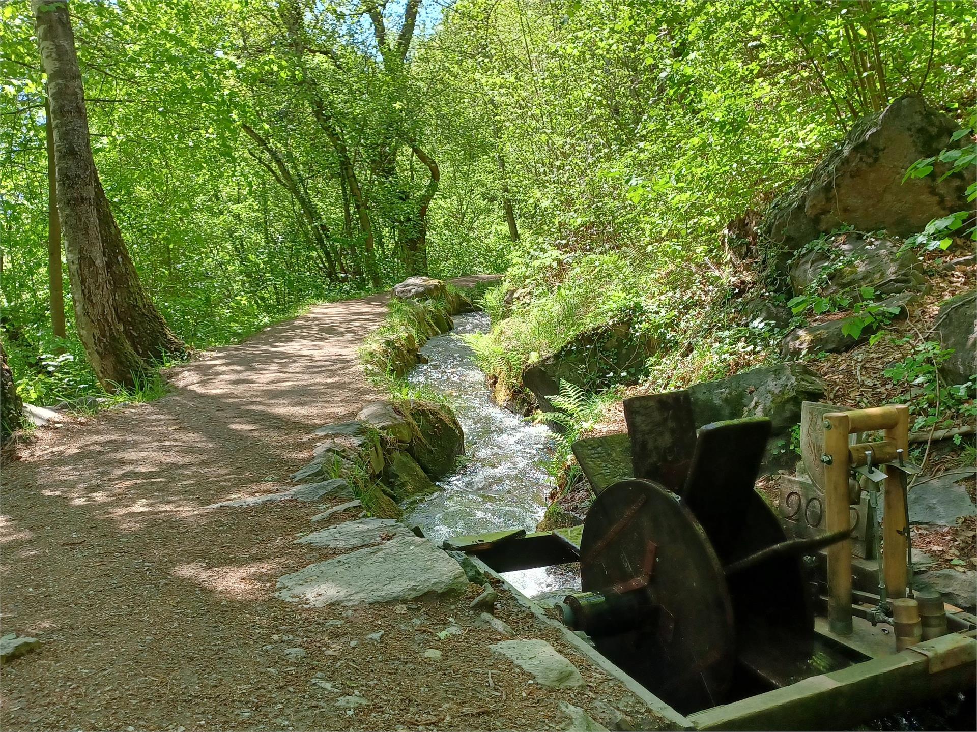 Percorso circolare - sentiero della roggia di Rablà Parcines 6 suedtirol.info